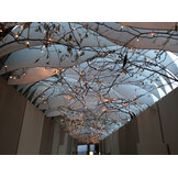 Startset – 6 meter Cluster kerstverlichting extra warm wit 200 LEDs clusterverlichting – BASIC