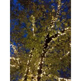 Boomverlichting warm wit 160 meter waterdicht 1600 LED - PRO - LUKSUS