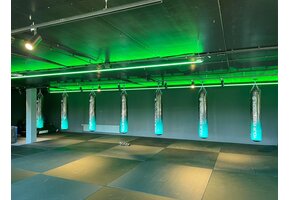 RGBCCT LED strip 96x5050 LED 36 W 2240 lm/meter 24VDC IP68 8m rol