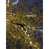 Boomverlichting warm wit 200 meter waterdicht 2000 LED - PRO - LUKSUS
