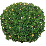 Buxus kerstverlichting 144 LED warm wit - L
