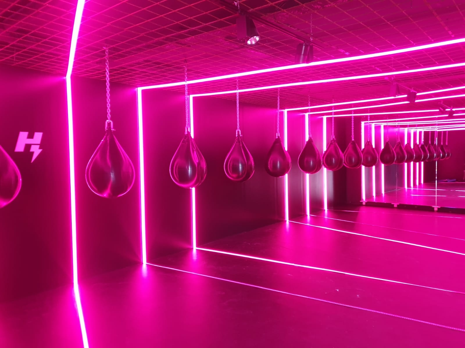 PRO LUMEN RGBWW - 2700K LED strip 19,2W 1250LM 24VDC IP20 10mm