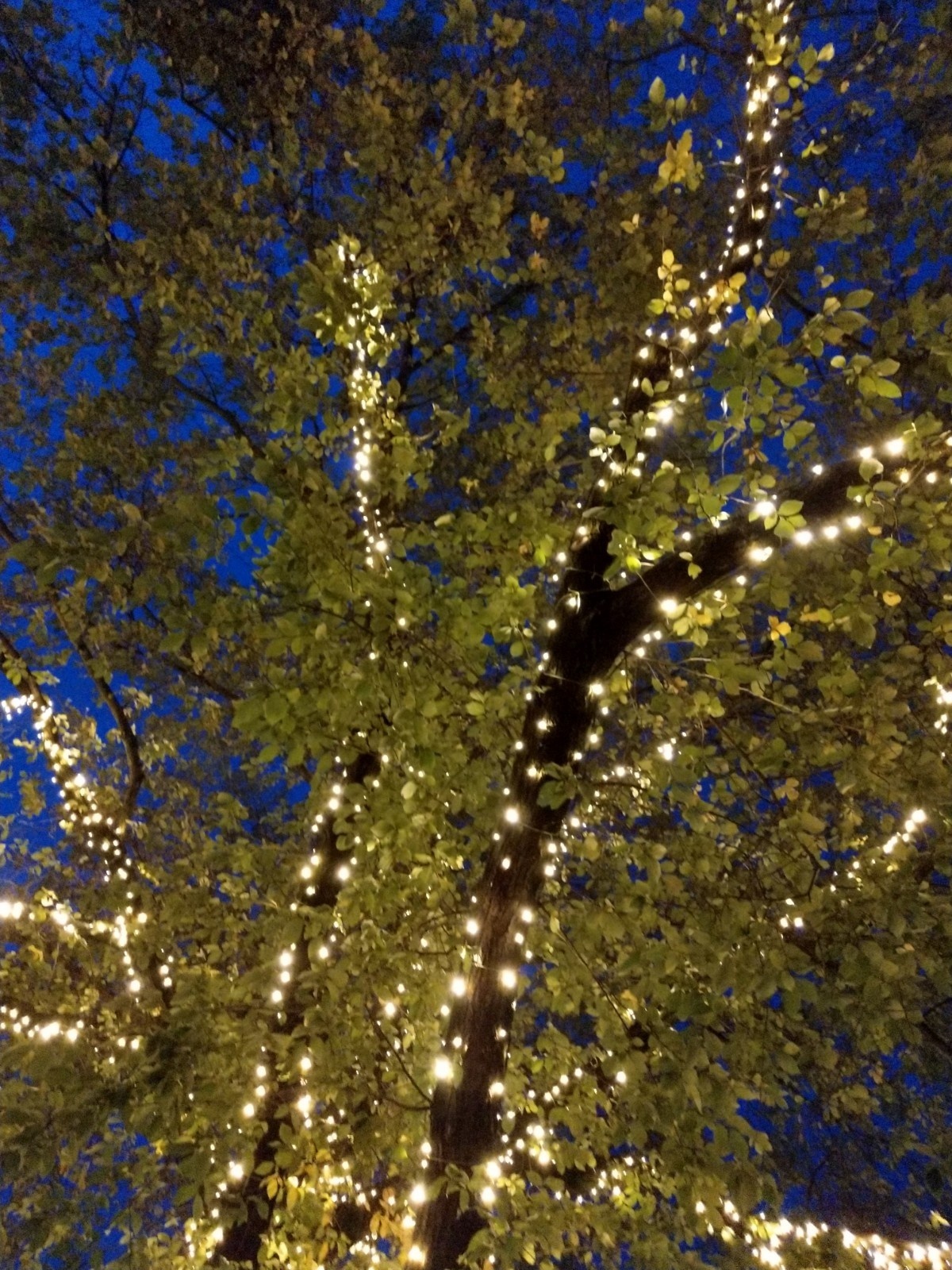 Boomverlichting warm wit 40 meter waterdicht - 400 LED PRO - LUKSUS