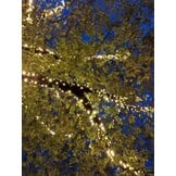 Boomverlichting warm wit 140 meter waterdicht 1400 LED - PRO - LUKSUS