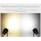 Waterdichte LED prikspot voor buiten RGBCCT 6 watt (2700K-6500K) - ZIGBEE - TUYA - WIFI