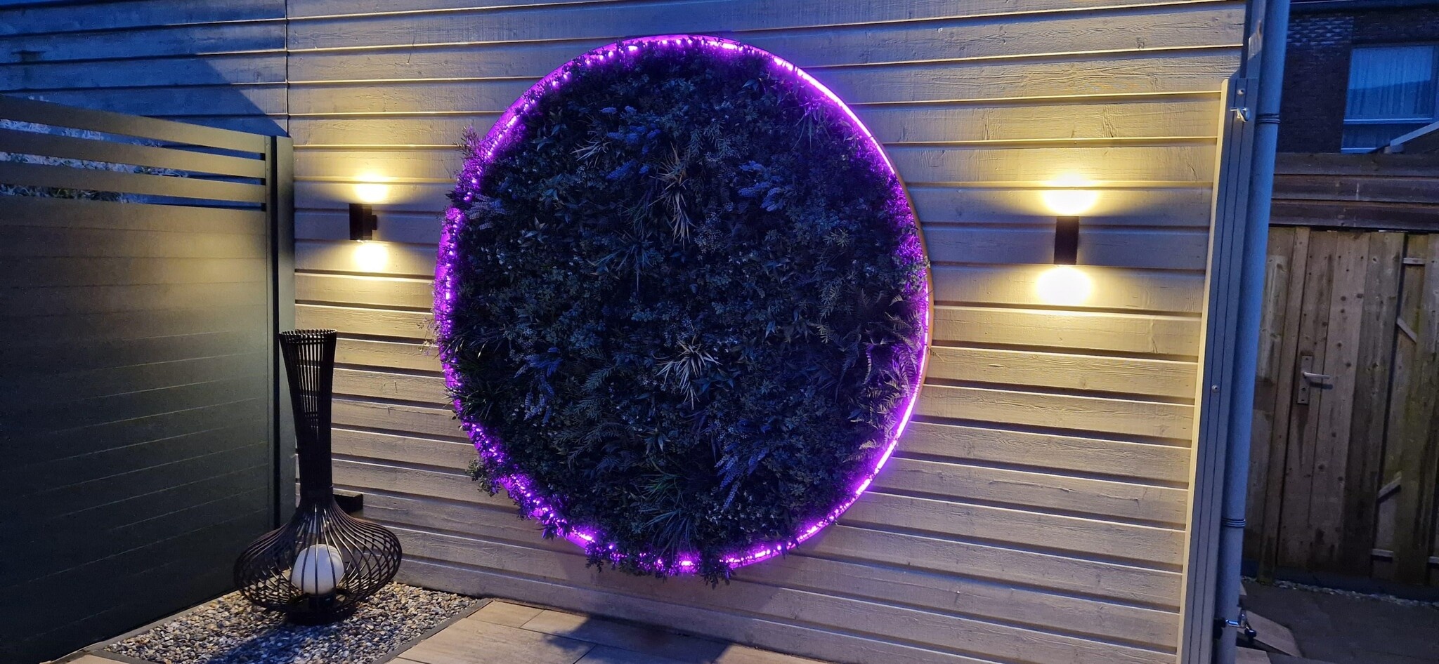 Neon Flex LED strip 24 volt RGBCCT 18W 1050LM 12 x 20mm IP67 – 10 meter