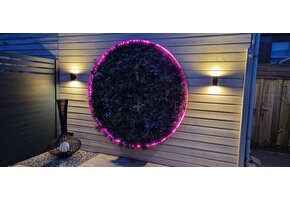Neon Flex LED strip 24 volt RGBWW 18W 1050LM 12 x 20mm IP67 – 5 meter