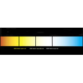 Waterdichte LED strip 24 Volt 3000K Warm Wit 12W 1260lm/meter 60LED/m IP65 5m Rol