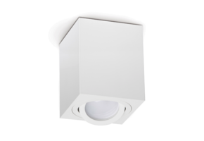 Opbouw armatuur - WIT-37L - kantelbaar