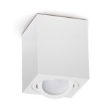 Opbouw armatuur - WIT-37L - kantelbaar