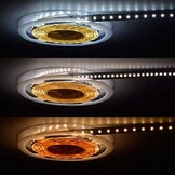 PRO LED strip dual white 3000K ~ 6000K 20W 1700LM 120LED p/m 24VDC IP20 - 5 meter