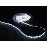 Waterdichte PRO LED strip 24 Volt 6000k koud wit 12W 1240lm/meter 128LED p/m IP68 CRI90 - 5 meter