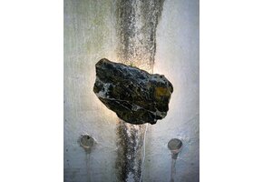 Versteend houten design lamp -  Dual White - 2700k - 6500k - #101