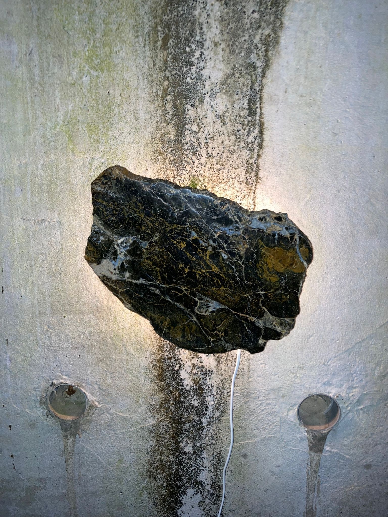 Versteend houten design lamp -  Dual White - 2700k - 6500k - #101