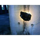 Versteend houten design lamp -  Dual White - 2700k - 6500k - #101