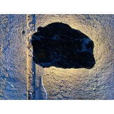 Versteend houten design lamp -  Dual White - 2700k - 6500k - #101