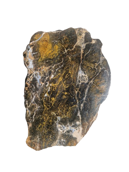 Versteend houten design lamp -  Dual White - 2700k - 6500k - #101