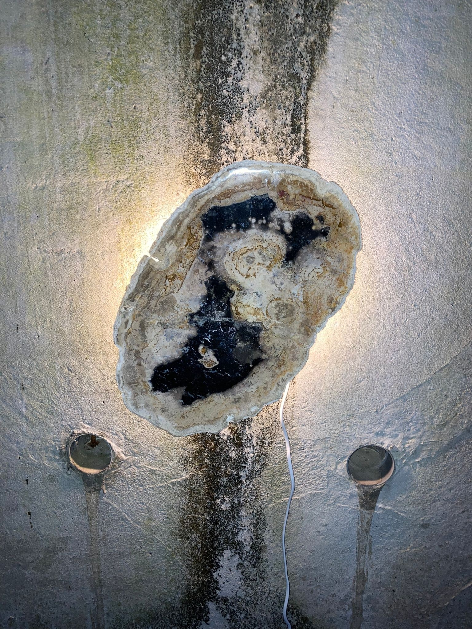 Versteend houten design lamp -  Dual White - 2700k - 6500k - #104