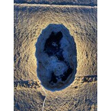 Versteend houten design lamp -  Dual White - 2700k - 6500k - #104