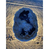 Versteend houten design lamp -  Dual White - 2700k - 6500k - #104