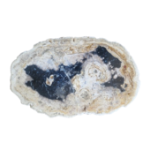 Versteend houten design lamp -  Dual White - 2700k - 6500k - #104