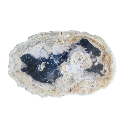 Versteend houten design lamp -  Dual White - 2700k - 6500k - #104