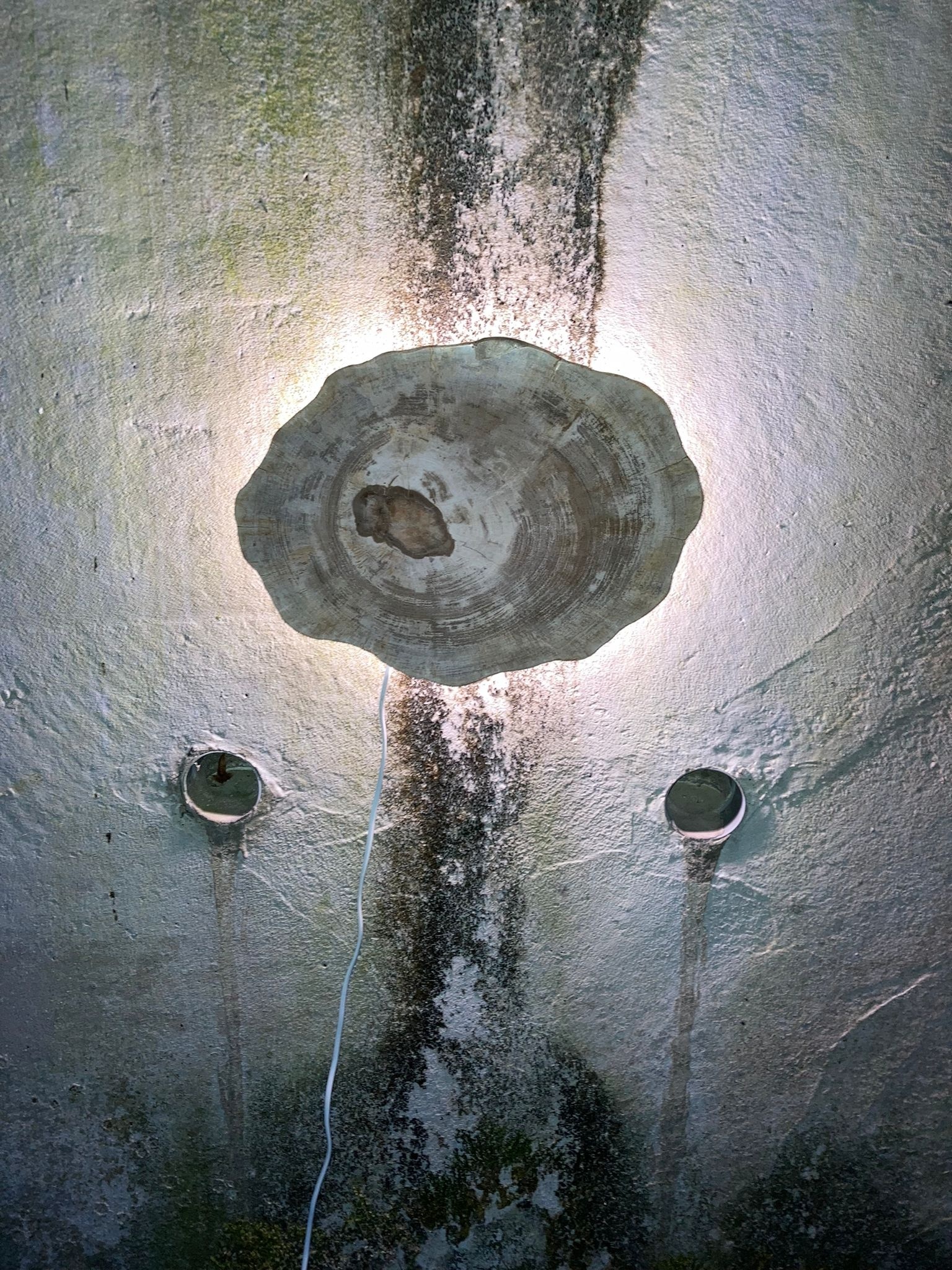 Versteend houten design lamp -  Dual White - 2700k - 6500k - #105