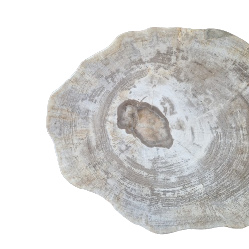 Versteend houten design lamp -  Dual White - 2700k - 6500k - #105