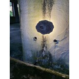 Versteend houten design lamp -  Dual White - 2700k - 6500k - #105