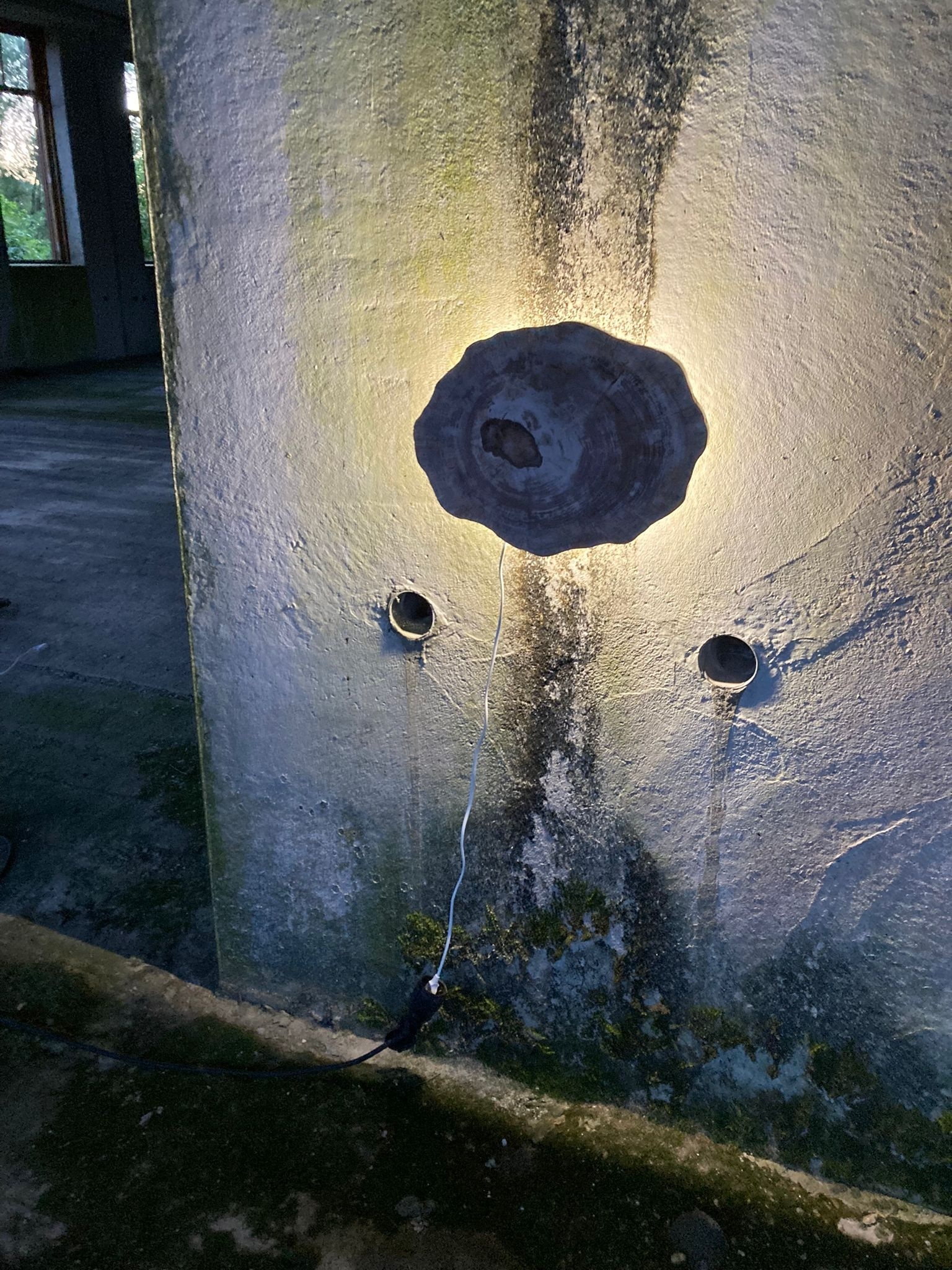 Versteend houten design lamp -  Dual White - 2700k - 6500k - #105