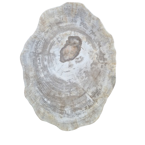 Versteend houten design lamp -  Dual White - 2700k - 6500k - #105