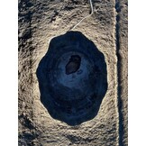 Versteend houten design lamp -  Dual White - 2700k - 6500k - #105