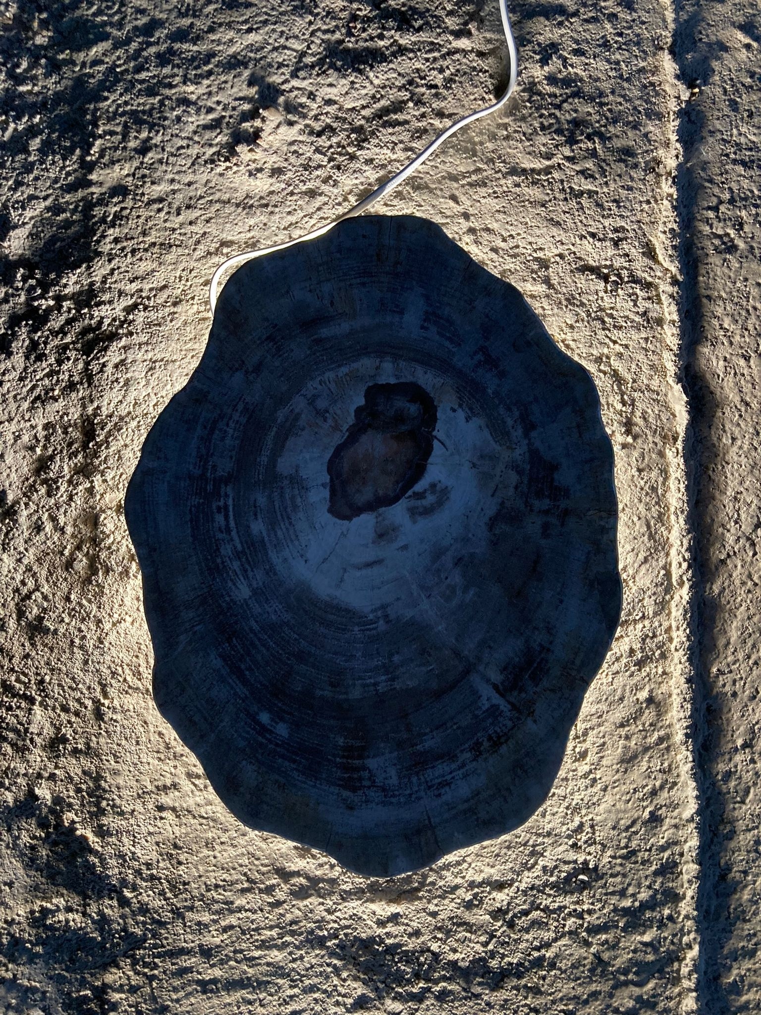 Versteend houten design lamp -  Dual White - 2700k - 6500k - #105