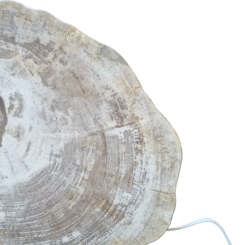 Versteend houten design lamp -  Dual White - 2700k - 6500k - #105