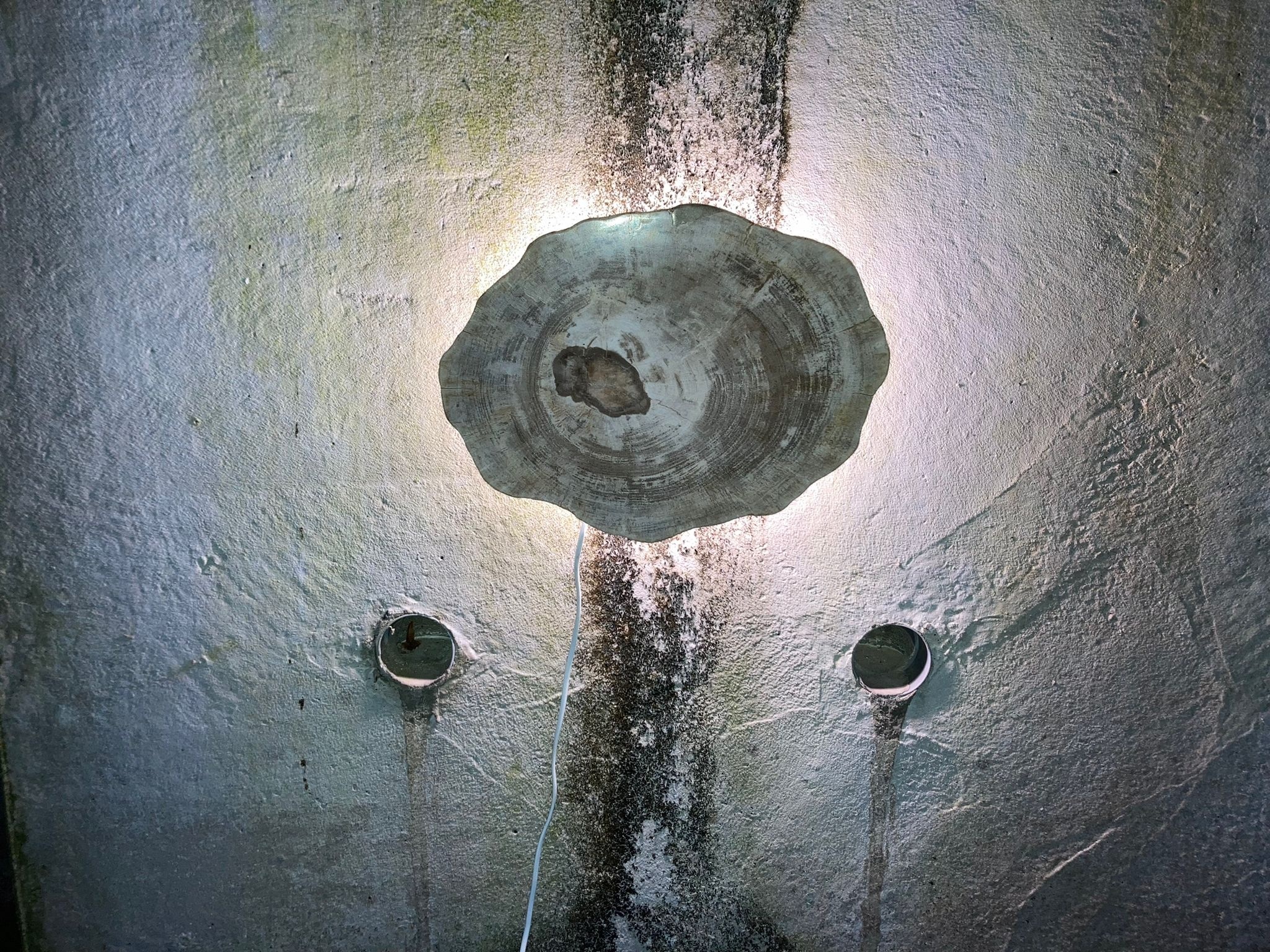 Versteend houten design lamp -  Dual White - 2700k - 6500k - #105