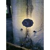 Versteend houten design lamp -  Dual White - 2700k - 6500k - #105