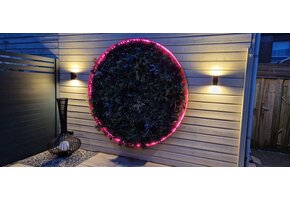 Neon Flex LED strip 12 volt RGB 14,4W 850LM 8 x 16mm IP67 – 5 meter
