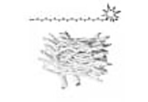 LED kerstlichtsnoer 6 meter – Warm wit 2400K + flits – Wit snoer – 230V systeem (IP65)