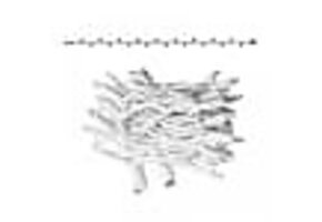 LED kerstlichtsnoer 6 meter – Koud wit 6500K – Wit snoer – 230V systeem (IP65)