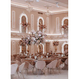 PRO LUMEN LED strip 4000K natuurlijk wit 32W 4650LM 224LED p/m IP20 CRI93 - 5 meter