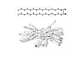 LED eindstuk verlichting 2x1,5m – Warm wit 3000K – Wit snoer – 230V IP65