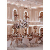 PRO LUMEN LED strip 3000K warm wit 22W 3050LM 300LED p/m IP20 CRI93 - 5 meter