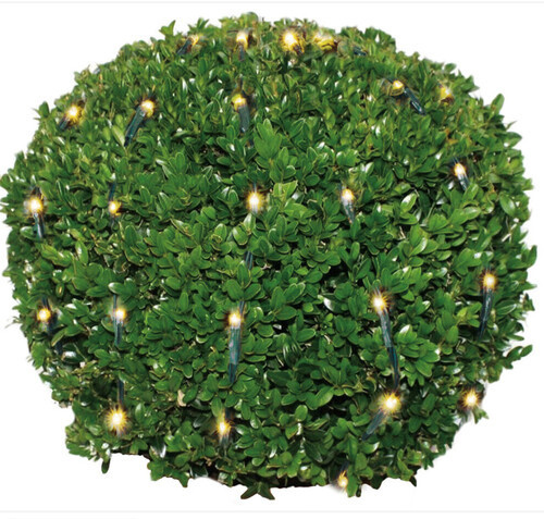 Buxus kerstverlichting 144 LED warm wit - L