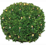 Buxus kerstverlichting 100 LED warm wit - M