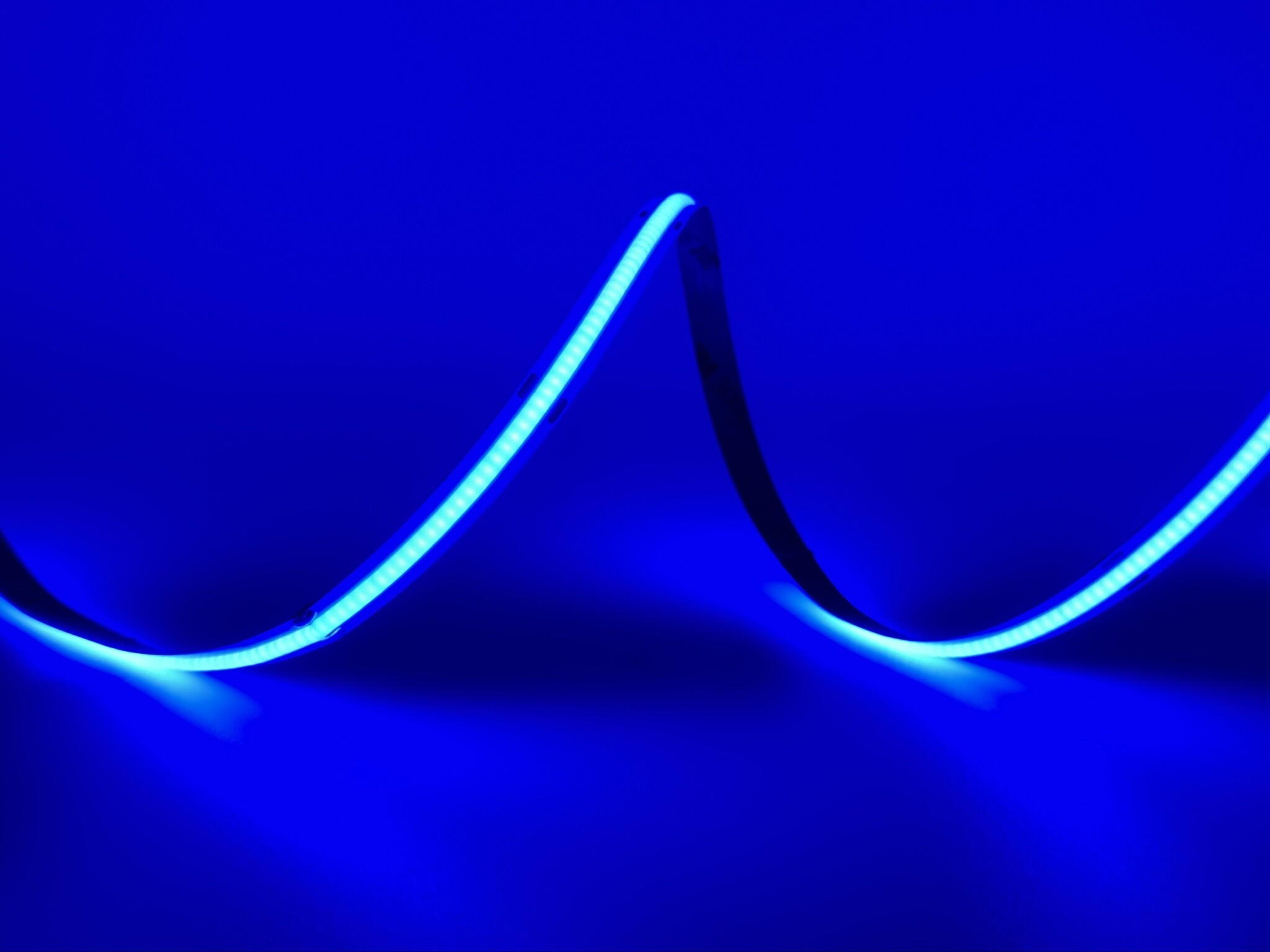 PRO COB LED strip Blauw 11W 1180LM 480 LED’s p/m 24VDC IP20 - 5 meter