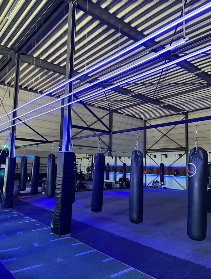 PRO COB LED strip Blauw 11W 1180LM 480 LED’s p/m 24VDC IP20 - 5 meter