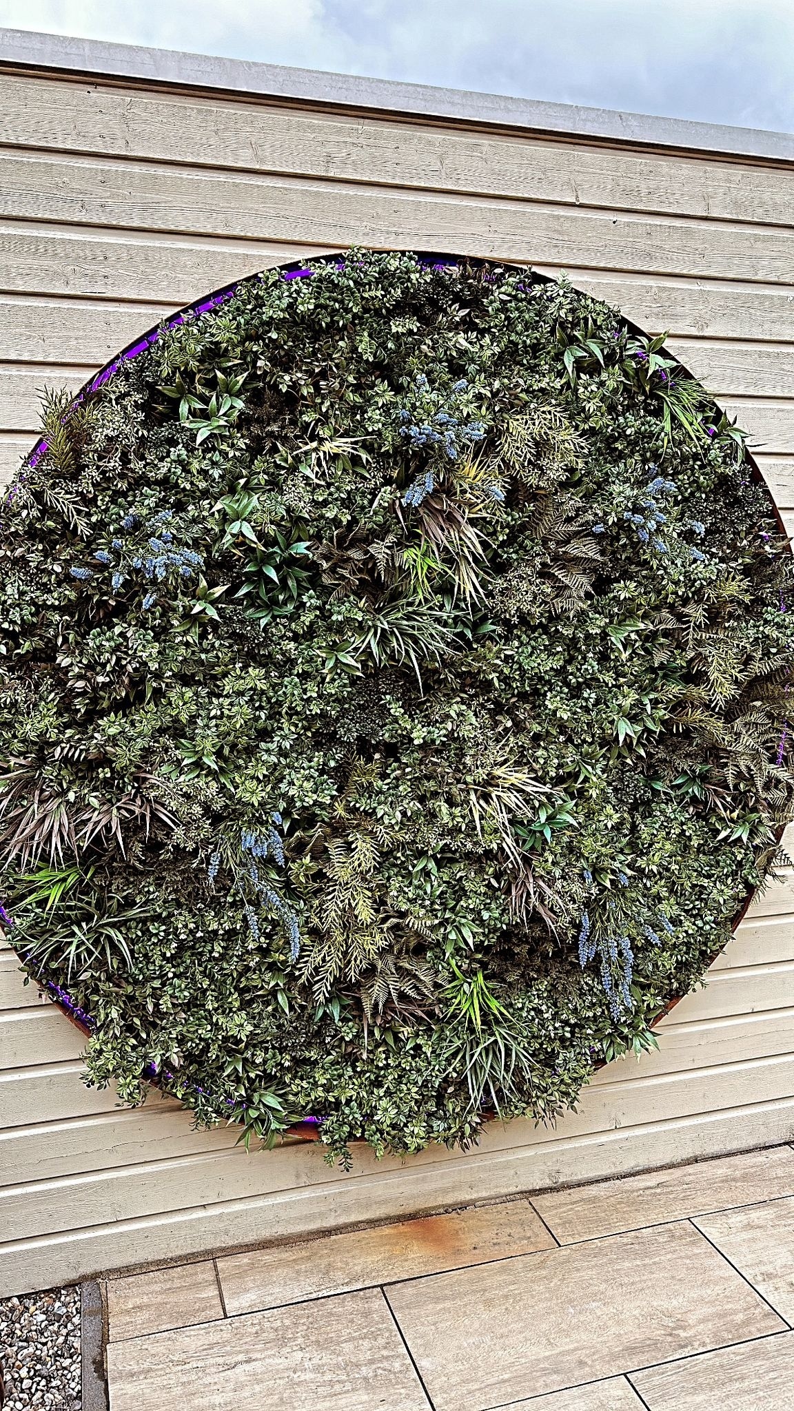 Neon Flex LED strip 12 volt RGB 14,4W 850LM 8 x 16mm IP67 – 5 meter