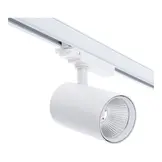 3-fase rail spot voor SLAGER - BAKKER - VISWINKEL - WIT - instelbaar - 10W/20W/30W 38° - ROSA RETAIL FOOD - 2700/3000/4000K