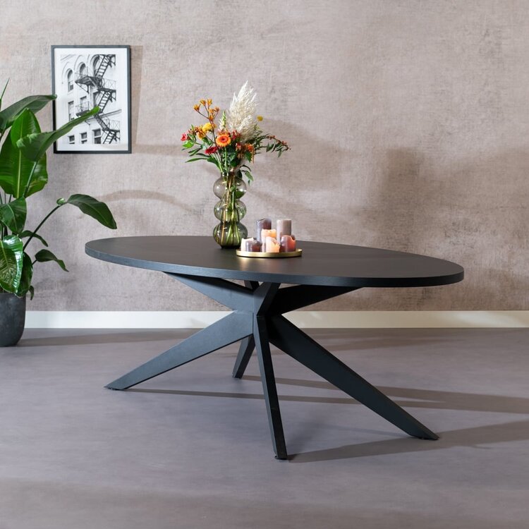 Table à manger ovale aspect bois noir melamine Dio 270 x 130 cm