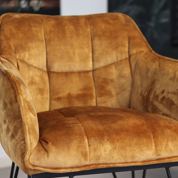 Chaise de salle à manger velours Jayron cognac